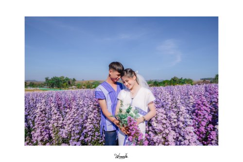 Prewedding - 1003