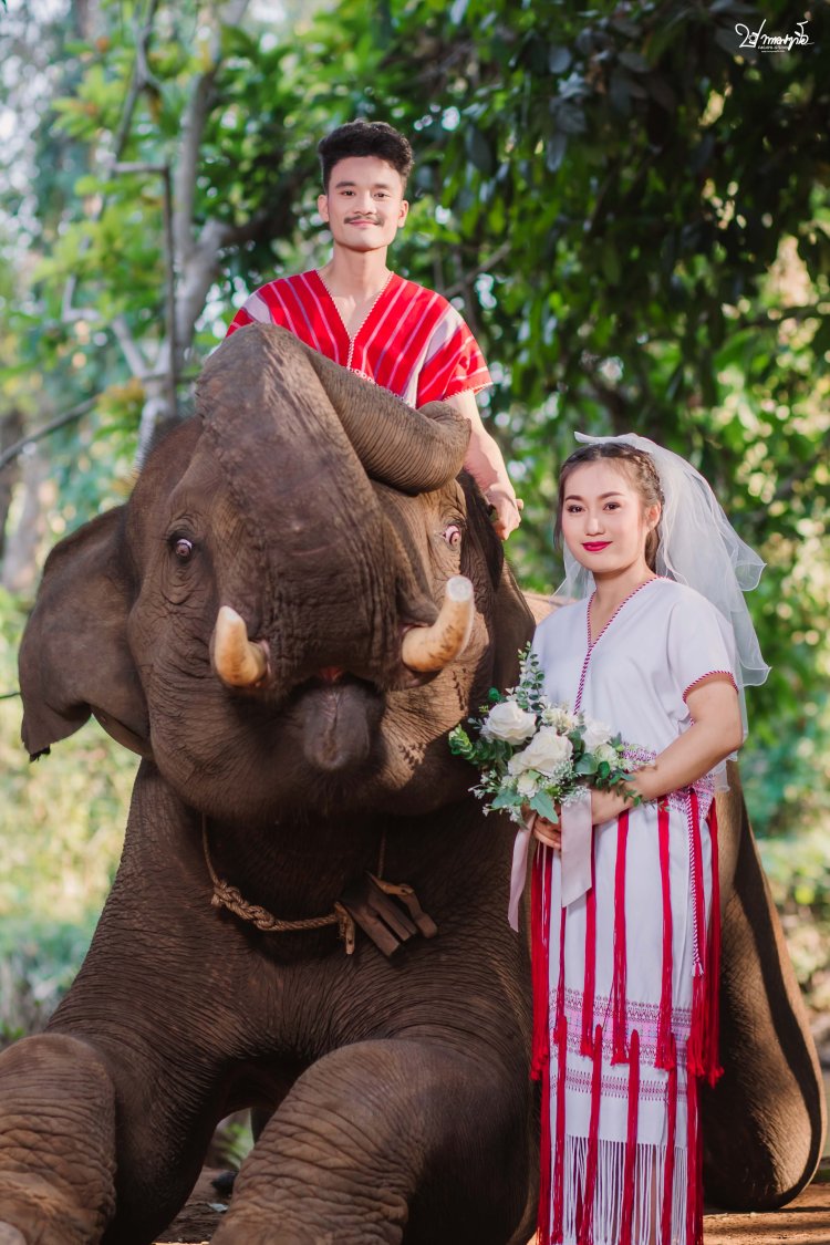 ปากาญอสตูดิโอ ช่างภาพท่าสองยาง ถ่ายรูปท่าสองยาง ช่างถ่ายรูปท่าสองยาง รูปท่าสองยาง ช่างถ่ายภาพท่าสองยาง ช่างถ่ายวีดีโอท่าสองยาง ช่างวีดีโอท่าสองยาง งานแต่งงาน พรีเวดดิ้ง อีเว้นท์ วีดีโอ ช่างภาพกะเหรี่ยง