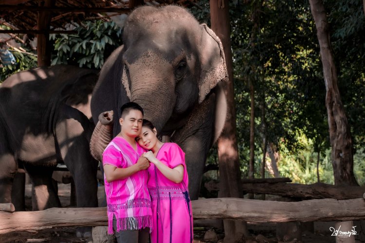 ปากาญอสตูดิโอ WEDDINGDAY MAESOT PAGAYOSTUDIO งานแต่ง แต่งงาน โบสถ์แม่สอด ช่างภาพตาก ช่างภาพแม่สอด ช่างภาพแม่ระมาด ช่างภาพพบพระ ช่างภาพท่าสองยาง วีดีโองานแต่ง ถ่ายวีดีโองานแต่ง ถ่ายวีดีโองานแต่งกะเหรี่ยง กะเหรี่ยงแต่งาน งานแต่งกะเหรี่ยง กะเหรี่ยงแม่สอด จังหวัดตาก ตากล้องจังหวัดตาก งานแต่ง แต่งงาน กะเหรี่ยงชายแดน งานมงคล ตรุษจีนปีนี้ ถ่ายโปรไฟล์ ถ่ายรูปแต่งงาน ถ่ายรูปงานแต่ง ถ่ายพรีเว็ดดิ้ง ถ่ายพรีเว็ดดิ้งแม่สอด ถ่ายพรีเว็ดดิ้งพบพระ ถ่ายพรีเว็ดดิ้งแม่ระมาด ถ่ายพรีเว็ดดิ้งท่าสองยาง prewedding บ้านเพราะช้าง