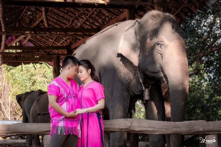 ปากาญอสตูดิโอ WEDDINGDAY MAESOT PAGAYOSTUDIO งานแต่ง แต่งงาน โบสถ์แม่สอด ช่างภาพตาก ช่างภาพแม่สอด ช่างภาพแม่ระมาด ช่างภาพพบพระ ช่างภาพท่าสองยาง วีดีโองานแต่ง ถ่ายวีดีโองานแต่ง ถ่ายวีดีโองานแต่งกะเหรี่ยง กะเหรี่ยงแต่งาน งานแต่งกะเหรี่ยง กะเหรี่ยงแม่สอด จังหวัดตาก ตากล้องจังหวัดตาก งานแต่ง แต่งงาน กะเหรี่ยงชายแดน งานมงคล ตรุษจีนปีนี้ ถ่ายโปรไฟล์ ถ่ายรูปแต่งงาน ถ่ายรูปงานแต่ง ถ่ายพรีเว็ดดิ้ง ถ่ายพรีเว็ดดิ้งแม่สอด ถ่ายพรีเว็ดดิ้งพบพระ ถ่ายพรีเว็ดดิ้งแม่ระมาด ถ่ายพรีเว็ดดิ้งท่าสองยาง prewedding บ้านเพราะช้าง