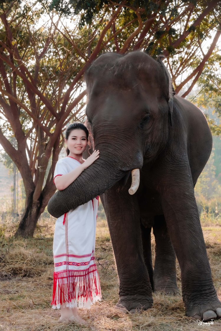 ปากาญอสตูดิโอ ช่างภาพพบพระ ถ่ายรูปพบพระ ช่างถ่ายรูปพบพระ รูปพบพระ ช่างถ่ายภาพพบพระ ช่างถ่ายวีดีโอพบพระ ช่างวีดีโอพบพระ งานแต่งงาน พรีเวดดิ้ง อีเว้นท์ วีดีโอ ช่างภาพกะเหรี่ยง